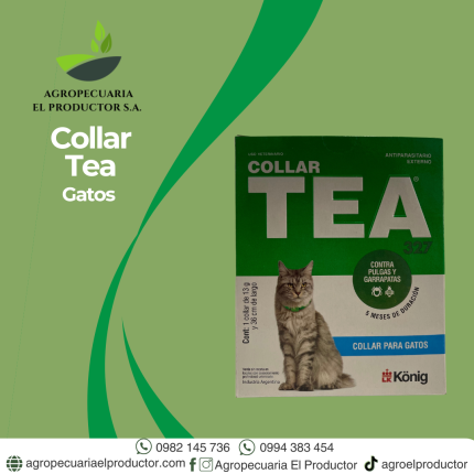 Green and White Modern Agriculture Consultant Services Instagram Post.zip 40