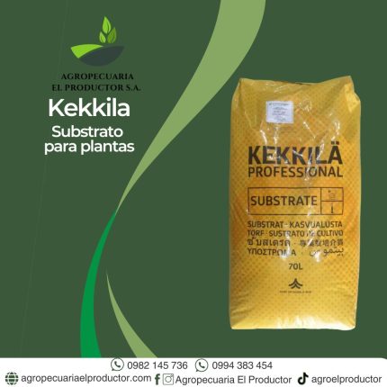 kekkila