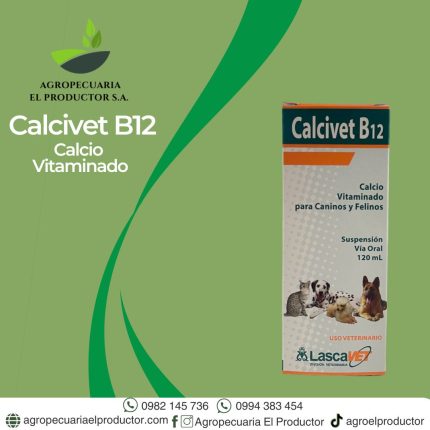 calcivet b12