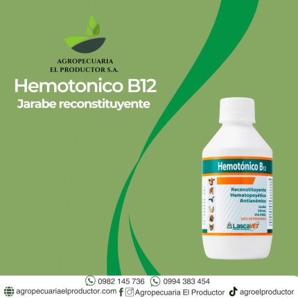 hemotonico b12