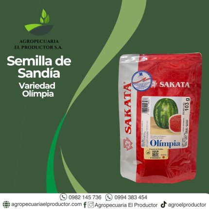 olimpia semilla
