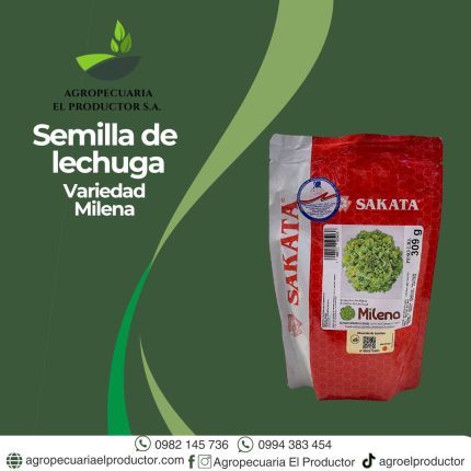 Lechuga milena