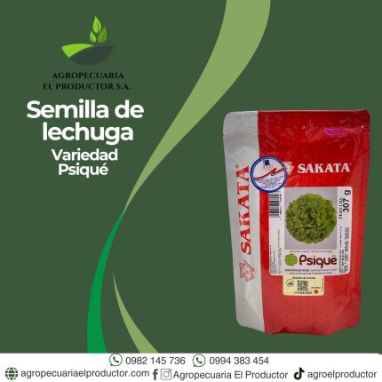 Lechuga psique