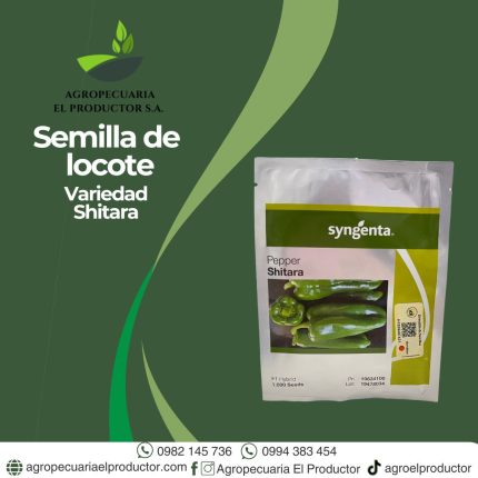 Locote shitara