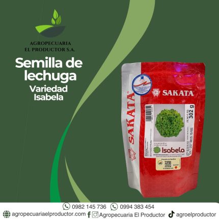 lechuga isabela